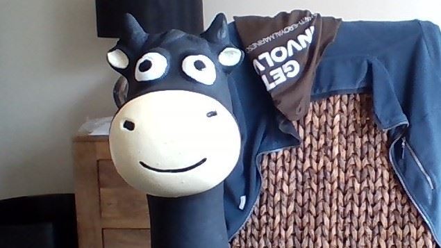An Ox goes to Bristol