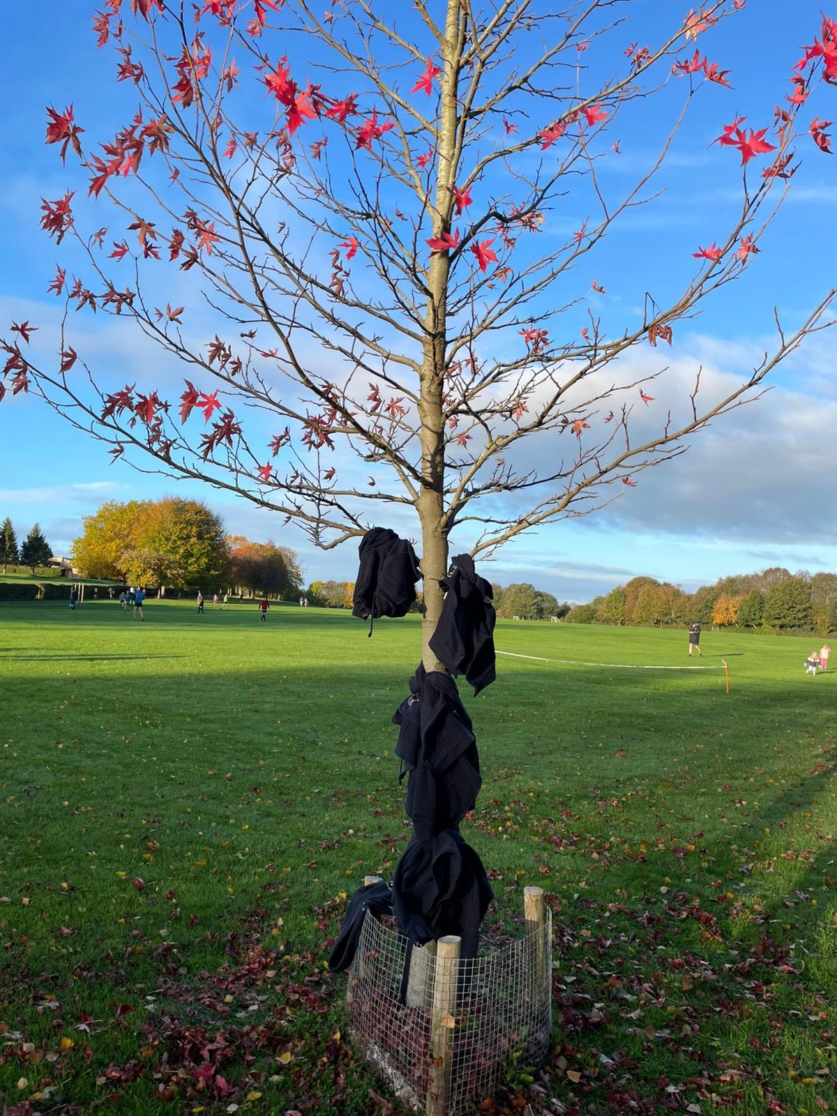 The Last Races for Hats